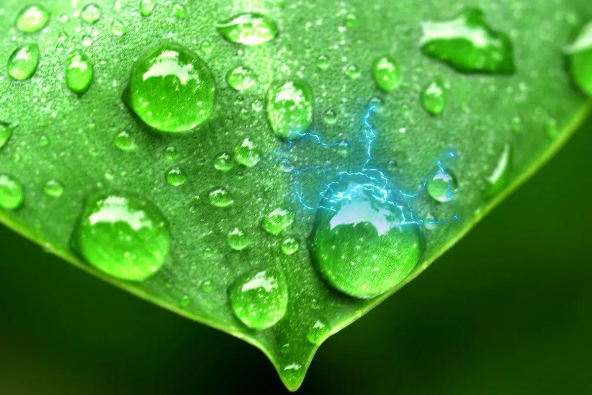 Surprise chez les scientifiques ! L'eau en tombant ou en se déplaçant génère une charge électrique bien plus importante que tout ce qu'on pensait Surprise chez les scientifiques ! L'eau en tombant ou en se déplaçant génère une charge électrique bien plus importante que tout ce qu'on pensait