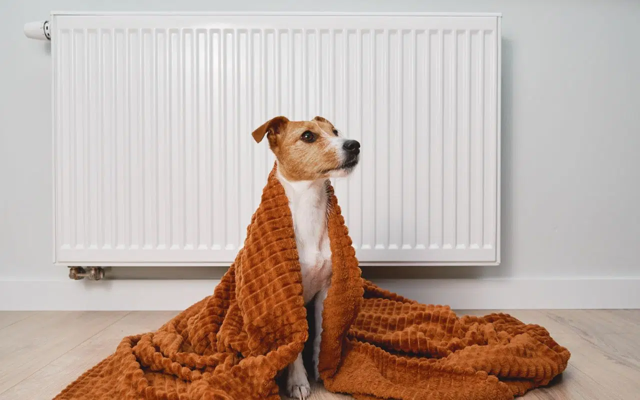 Printemps 2025 voici quand éteindre votre chauffage pour réduire vos factures Printemps 2025 voici quand éteindre votre chauffage pour réduire vos factures