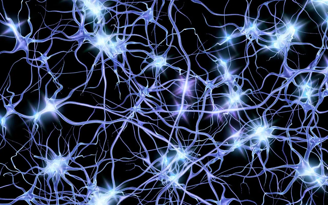 Une percée scientifique le vortion, un nouvel état magnétique qui imite les synapses du cerveau Une percée scientifique le vortion, un nouvel état magnétique qui imite les synapses du cerveau