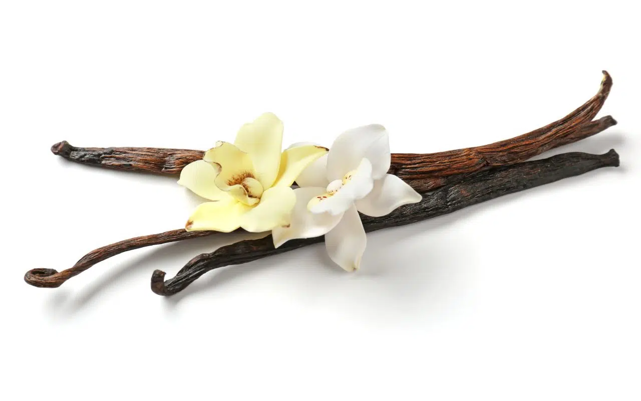 Vanille de Madagascar en danger, une économie locale chamboulée Vanille de Madagascar en danger, une économie locale chamboulée