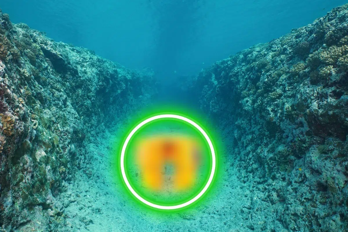 Une œuvre d'art Une œuvre d'art