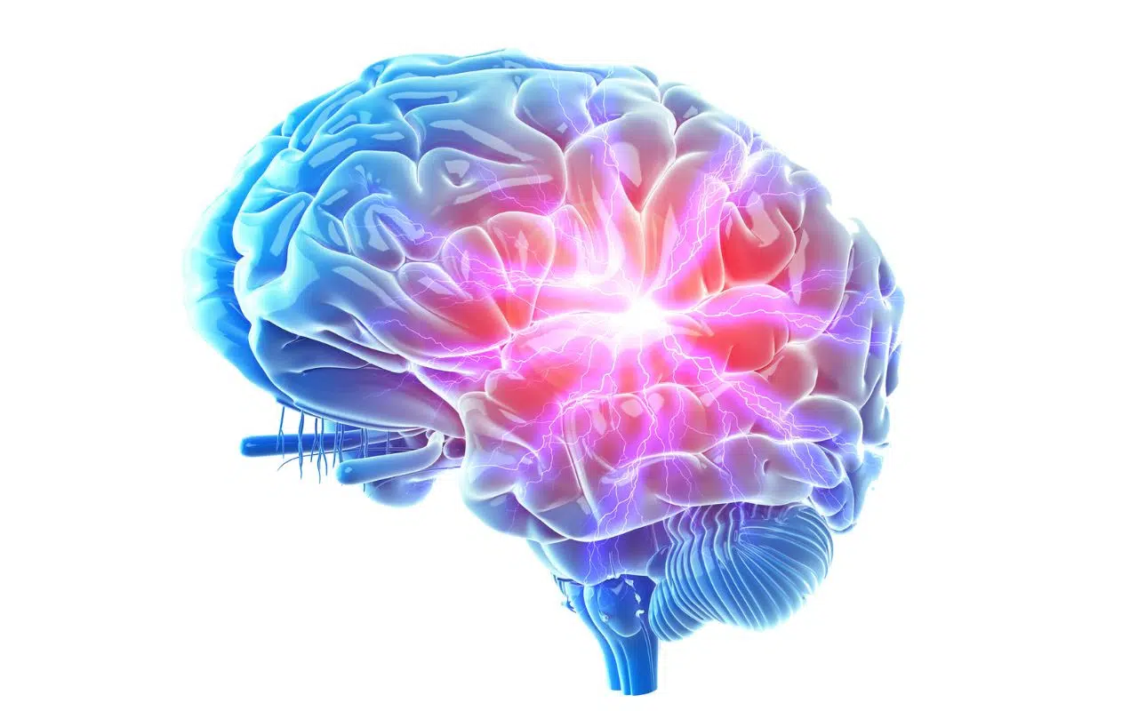 Ces neurones qui prédisent si une récompense vaut le coup ou non Ces neurones qui prédisent si une récompense vaut le coup ou non