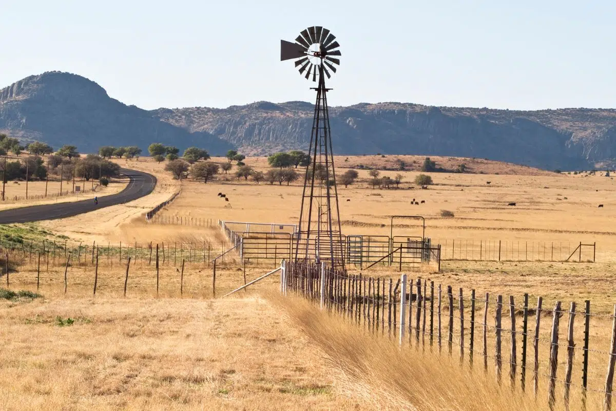 Le Texas n'est pas seulement riche en pétrole et pourrait fournir aux Etats-Unis une nouvelle arme géopolitique face à la Chine Le Texas n'est pas seulement riche en pétrole et pourrait fournir aux Etats-Unis une nouvelle arme géopolitique face à la Chine
