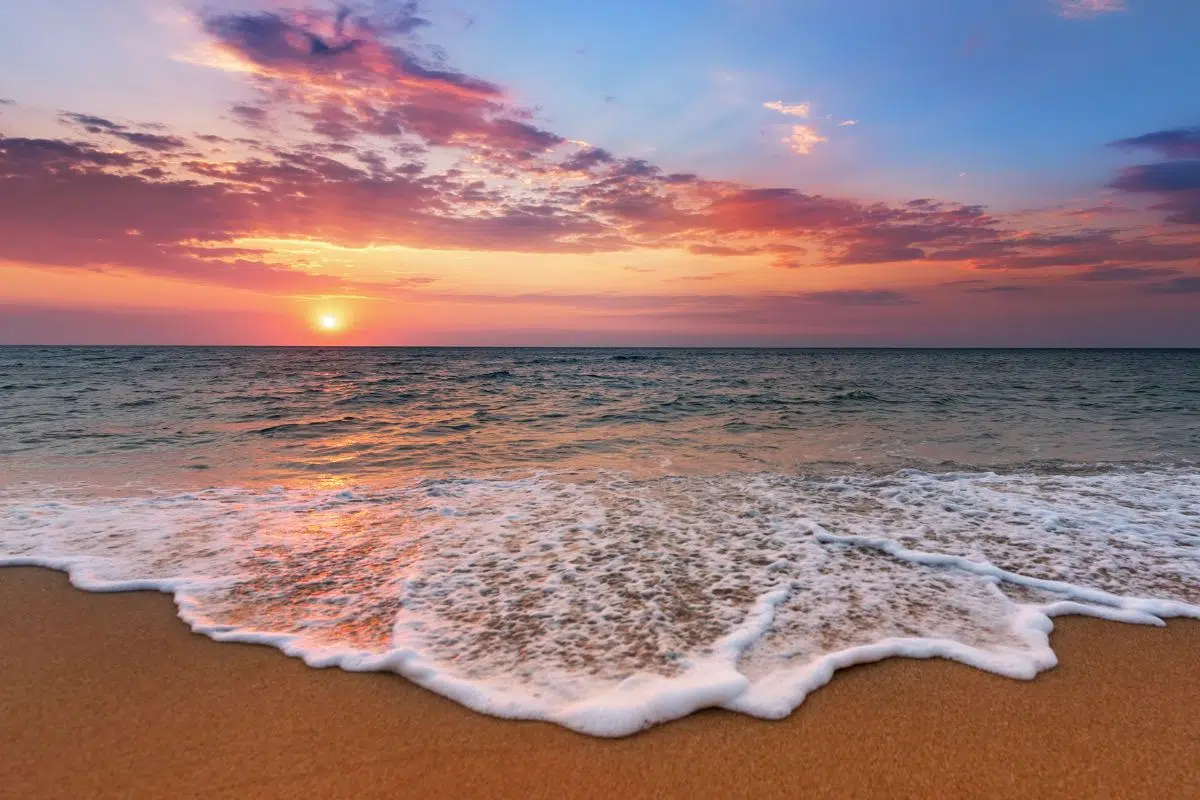 Le Royaume-Uni a une idée qui pèse 14 milliards de tonnes de carbone et qui s'inspire de la limonade Le Royaume-Uni a une idée qui pèse 14 milliards de tonnes de carbone et qui s'inspire de la limonade