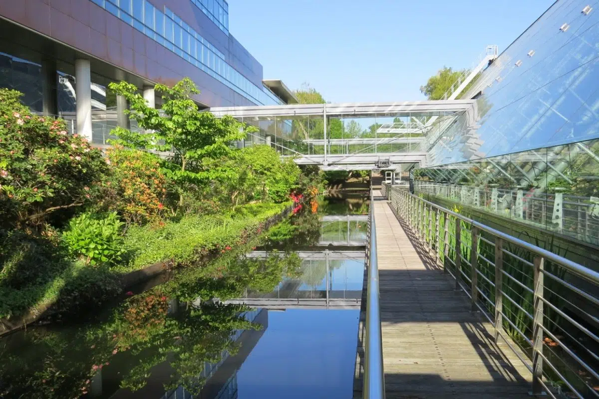 Longtemps à la traine, la France commence à jouer les bons élèves avec une nouvelle usine à 500 millions d'euros pour la production de batteries en Europe Longtemps à la traine, la France commence à jouer les bons élèves avec une nouvelle usine à 500 millions d'euros pour la production de batteries en Europe