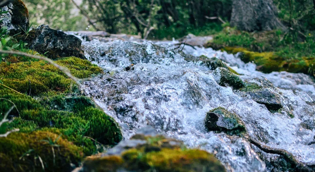 Nappes phréatiques en France 80 % des niveaux en baisse au 15 juin Nappes phréatiques en France 80 % des niveaux en baisse au 15 juin