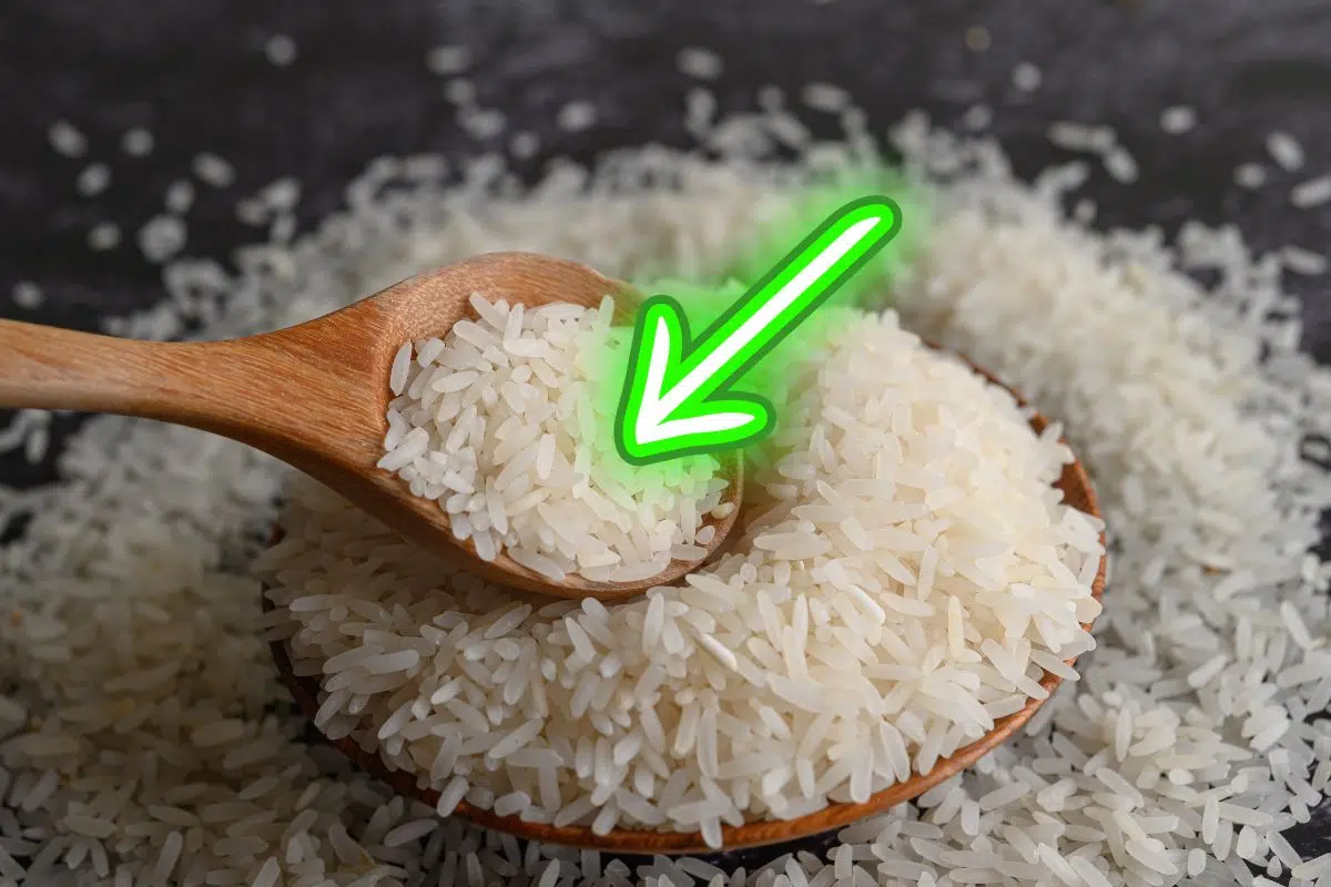 La physique répond enfin à cette question existentielle : combien faut-il de grains de riz pour faire un tas ? La physique répond enfin à cette question existentielle : combien faut-il de grains de riz pour faire un tas ?