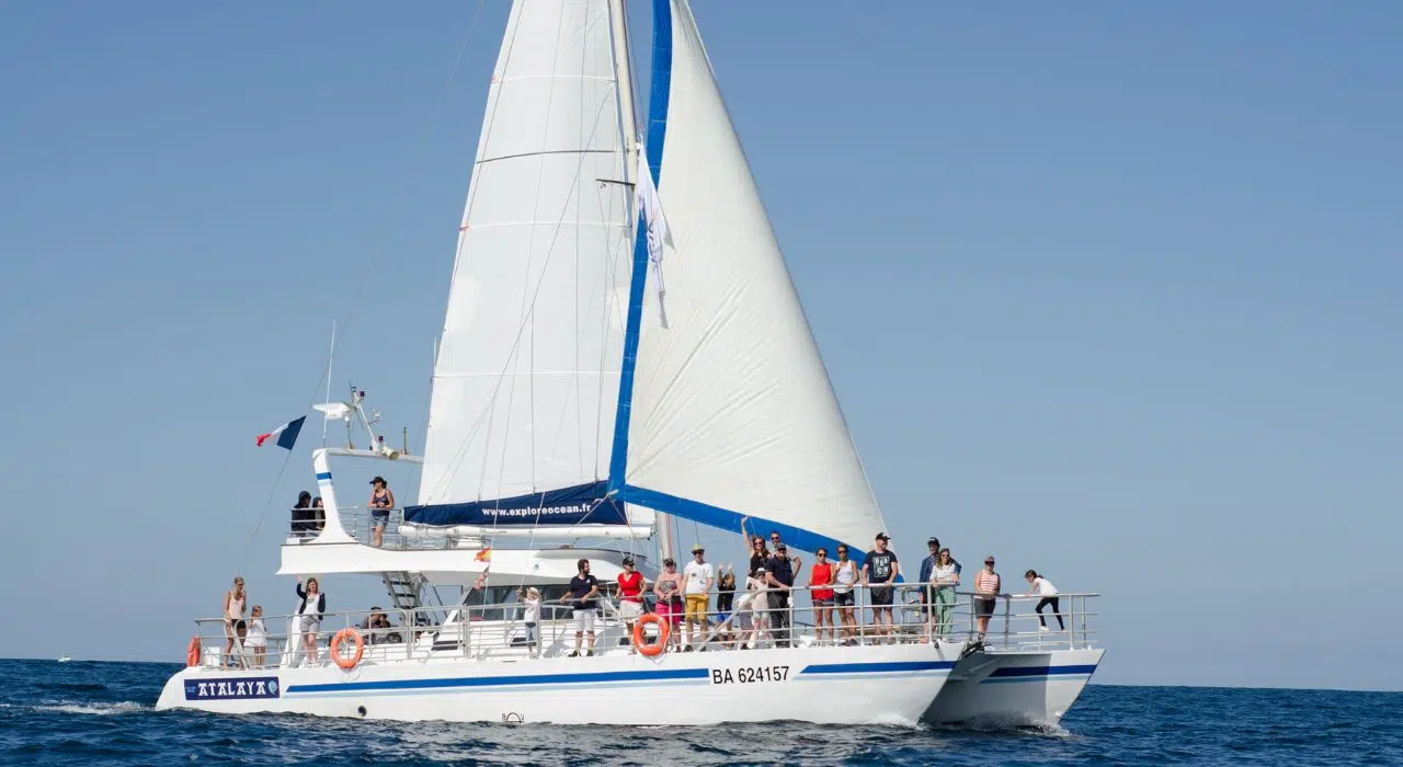 Atalaya d'Explore Ocean Premier et seul bateau labellisé Pavillon Bleu en France pour la seconde année consécutive ! Atalaya d'Explore Ocean Premier et seul bateau labellisé Pavillon Bleu en France pour la seconde année consécutive !