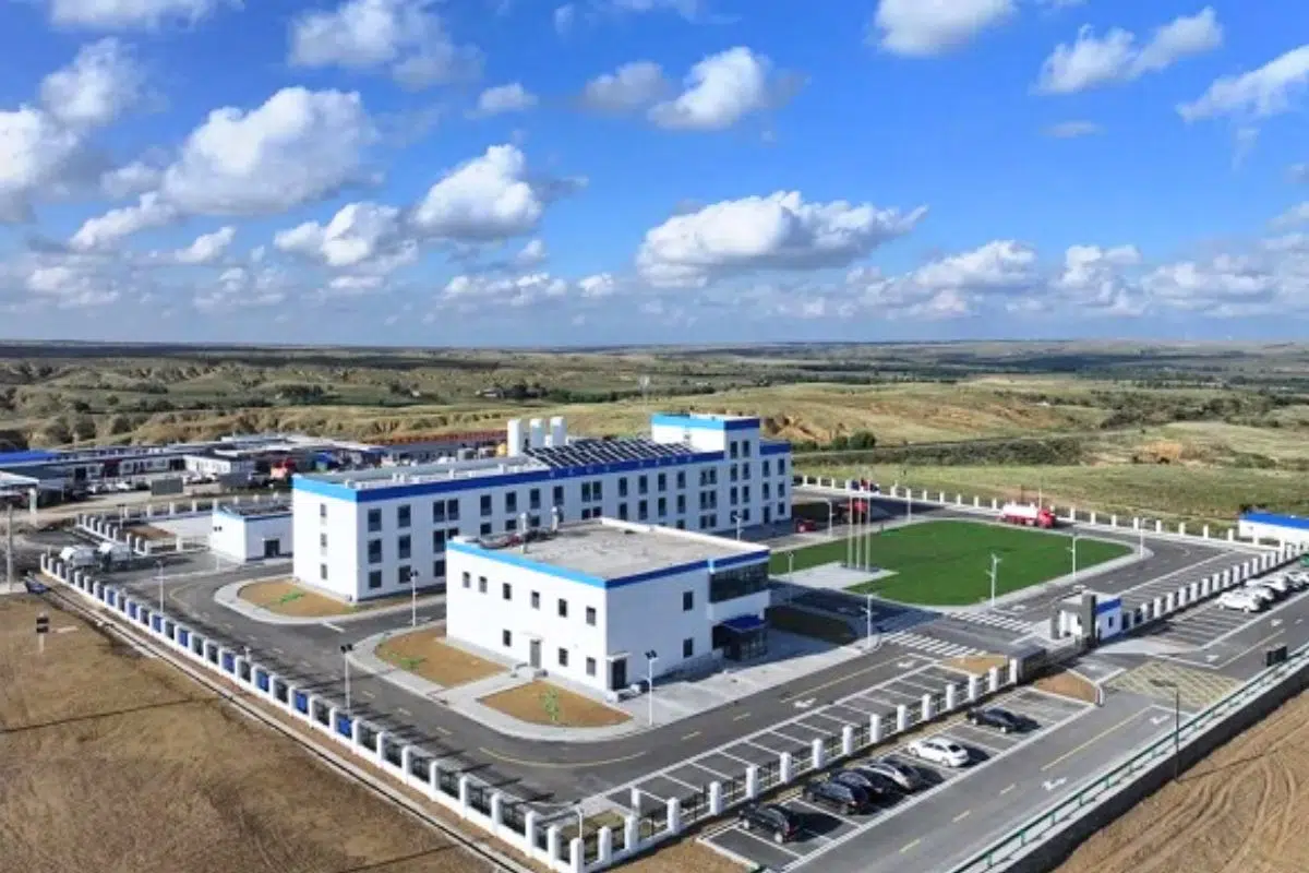 image-site - 2025-07-29T182849.113