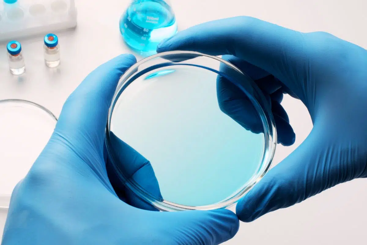 Ni pétrole ni maïs ! Cet organisme va ENFIN permettre de produire du plastique de manière pérenne et simple Ni pétrole ni maïs ! Cet organisme va ENFIN permettre de produire du plastique de manière pérenne et simple