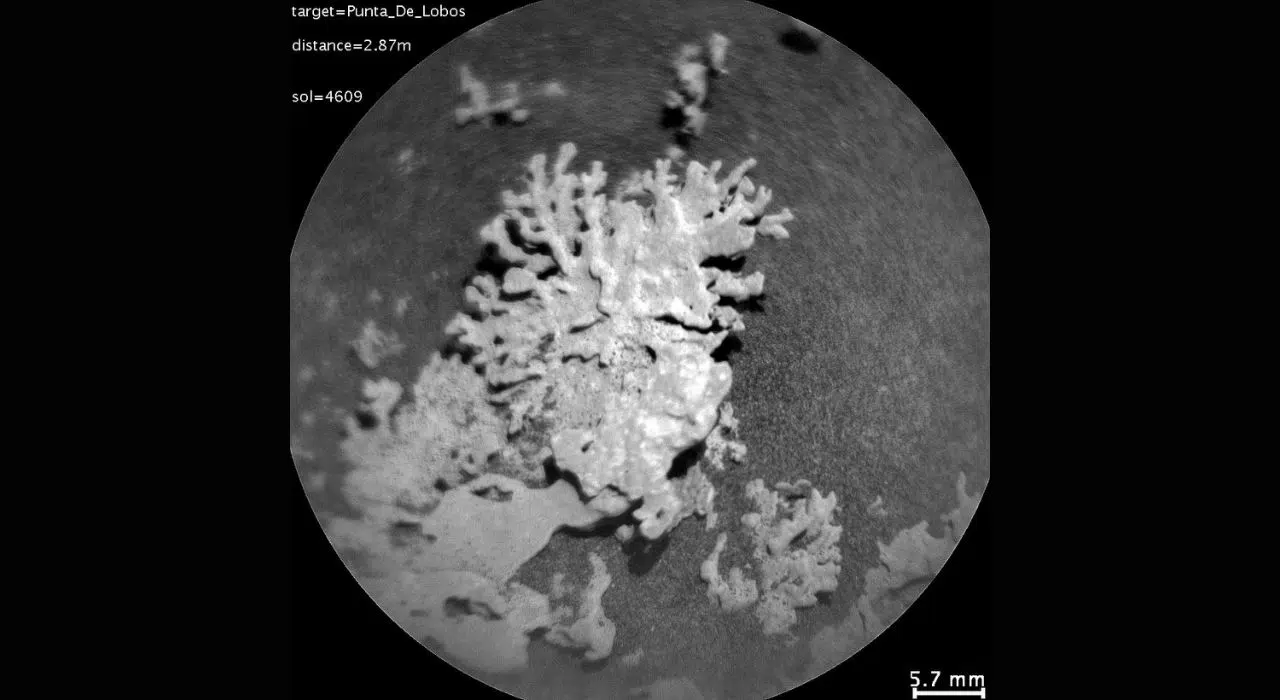 La NASA découvre un « corail » vieux de plusieurs milliards d'années sur Mars La NASA découvre un « corail » vieux de plusieurs milliards d'années sur Mars