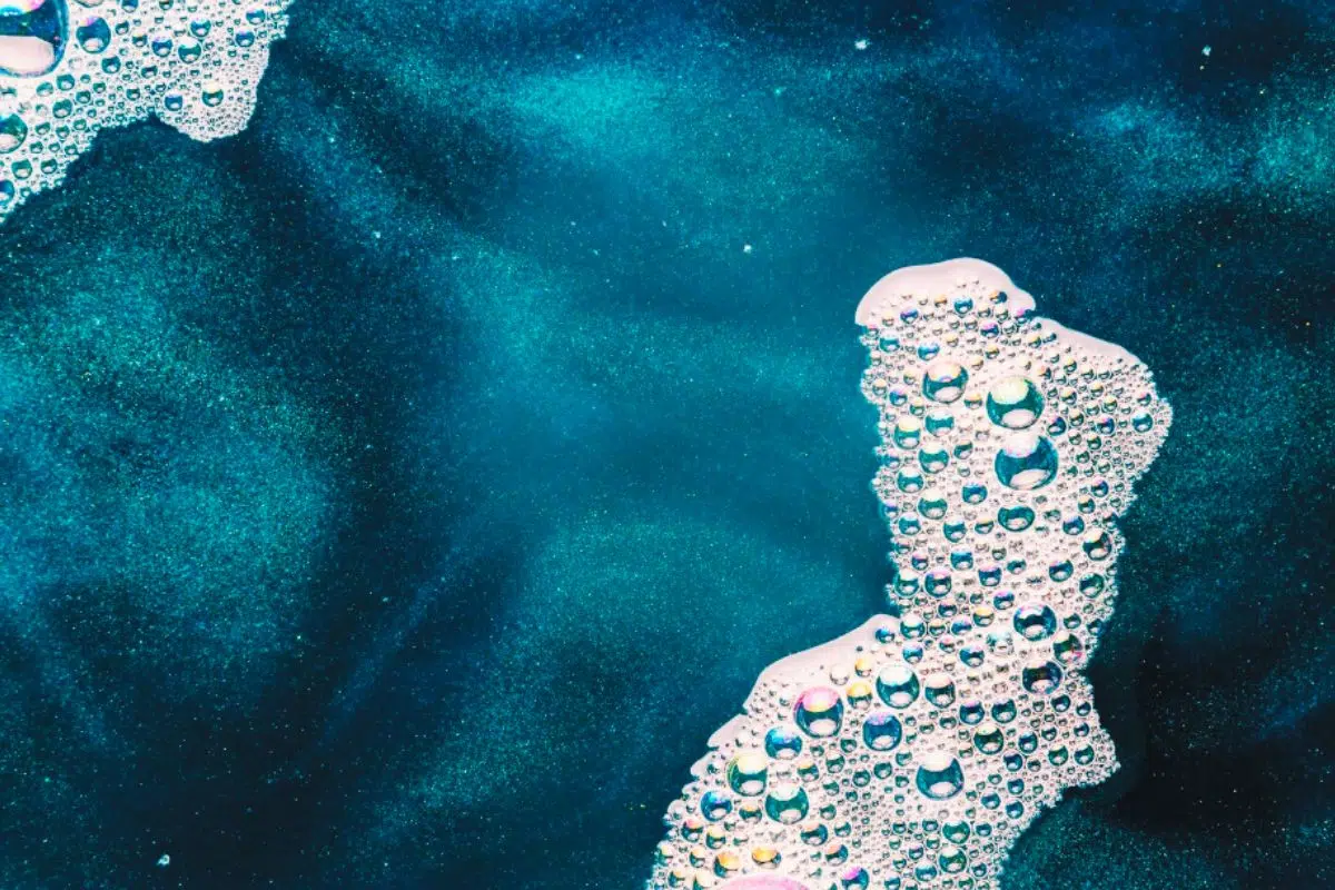 Cette découverte chinoise remet en cause l' Cette découverte chinoise remet en cause l'