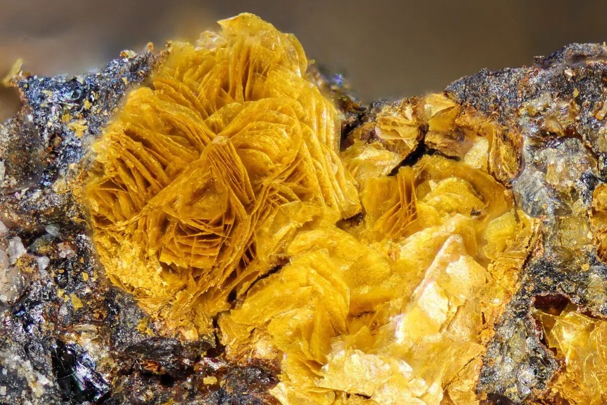 Ce catalyseur Ce catalyseur