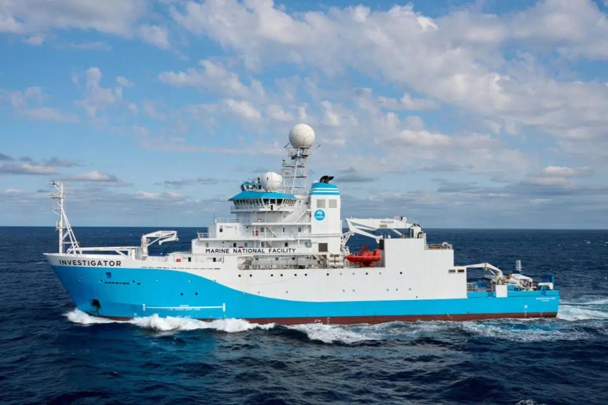 Découverte à 5 000 mètres de profondeur d'une nouvelle espèce de pieuvre Découverte à 5 000 mètres de profondeur d'une nouvelle espèce de pieuvre