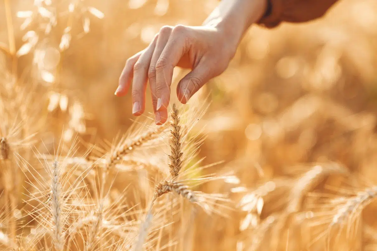 Il y a 100 ans, ce visionnaire a eu une idée géniale qui pourrait sauver les 10 milliards d'êtres humains de la famine en 2080 Il y a 100 ans, ce visionnaire a eu une idée géniale qui pourrait sauver les 10 milliards d'êtres humains de la famine en 2080