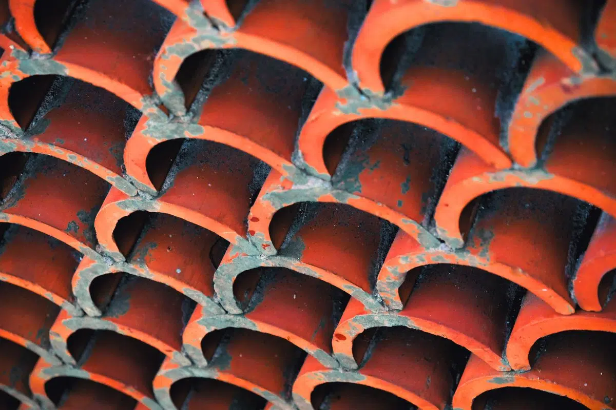 Des chercheurs américains retirent une grosse épine dans le pied de l'humanité avec une découverte qui permettrait d'éradiquer la « boue rouge » Des chercheurs américains retirent une grosse épine dans le pied de l'humanité avec une découverte qui permettrait d'éradiquer la « boue rouge »