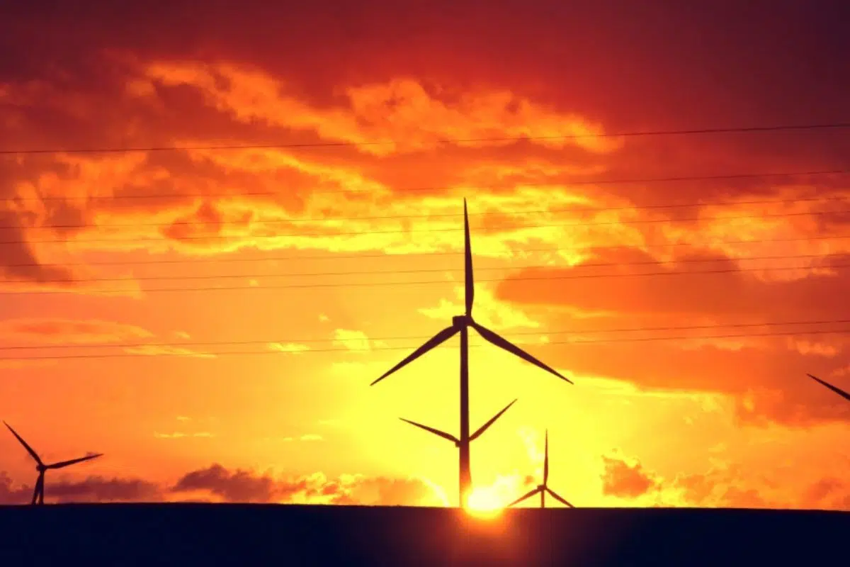 La Chine n'en demandait pas tant ! Les Etats-Unis stoppent 223 projets pour un montant de plus de 6,43 milliards d'euros dans les énergies vertes