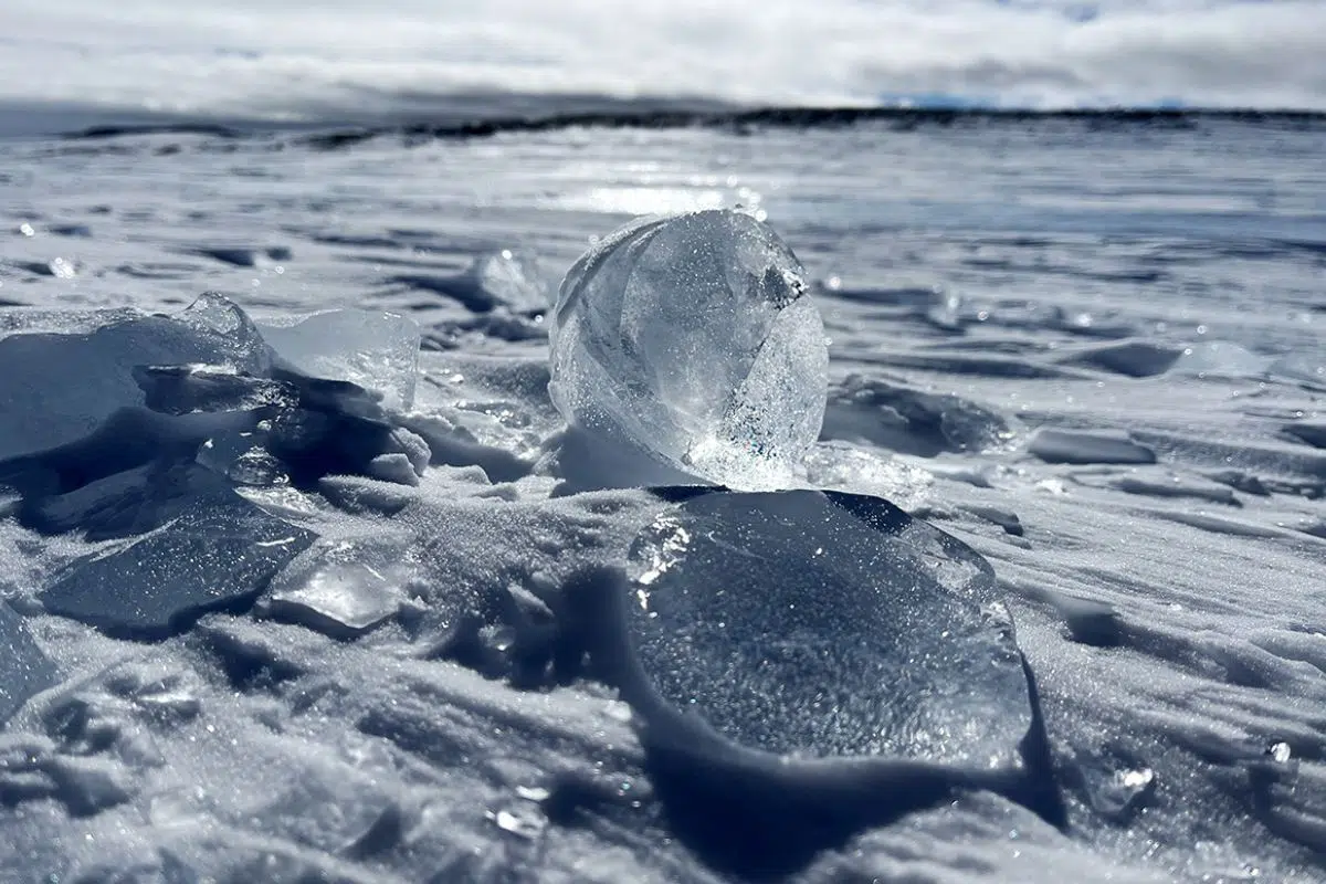 Les Américains stupéfaits par leur propre découverte record en Antarctique qui bat de 5 fois le précédent bloc de glace le plus vieux jamais exhumé sur Terre Les Américains stupéfaits par leur propre découverte record en Antarctique qui bat de 5 fois le précédent bloc de glace le plus vieux jamais exhumé sur Terre