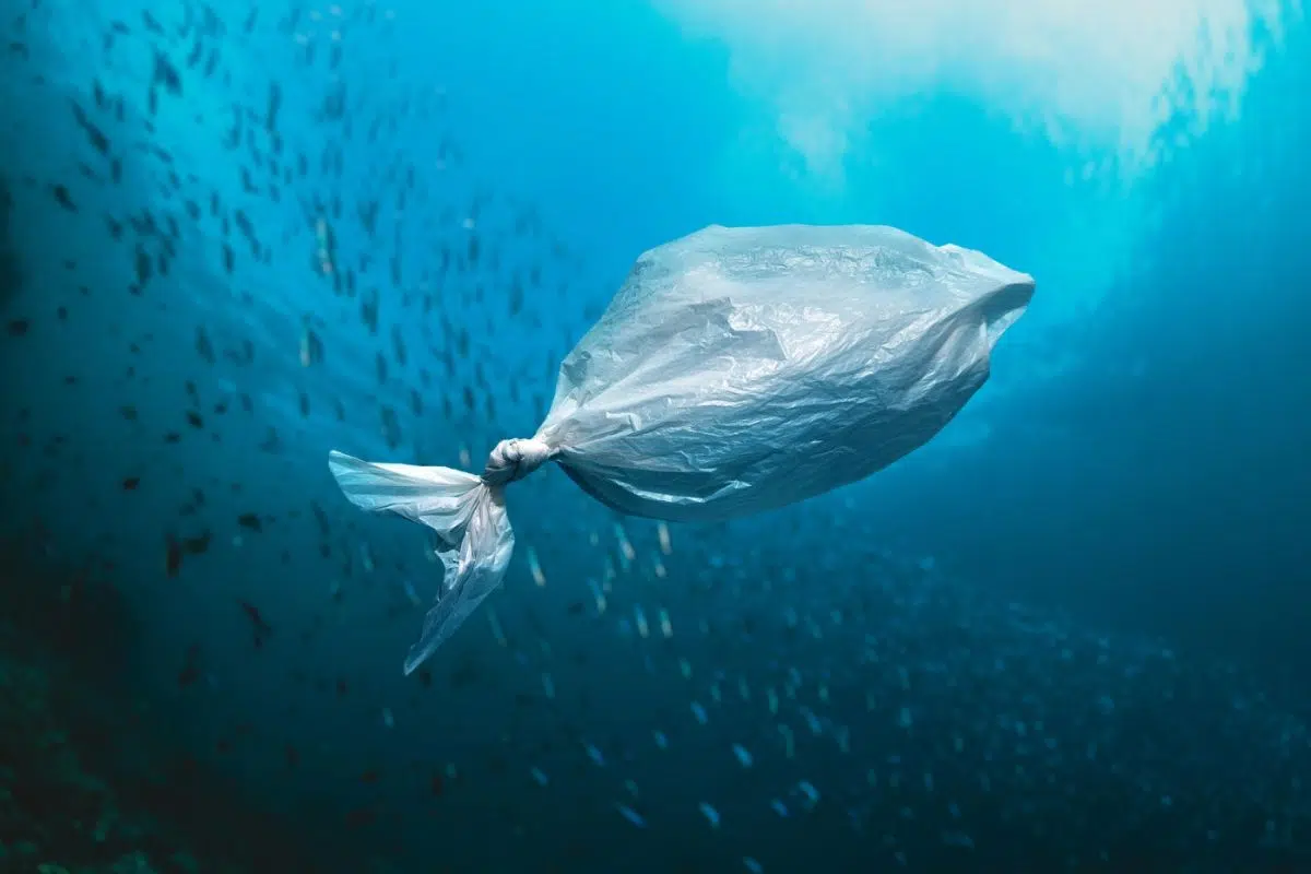 Nos océans ne sont pas encore Nos océans ne sont pas encore