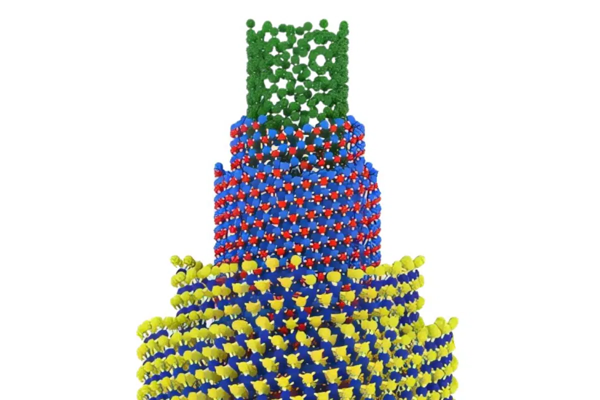 Représentation graphique de nanotubes disulfure de niobium à double paroi, deux cylindres imbriqués comme des poupées russes, séparés par quelques atomes seulement. Credit: ACS Nano (2025). DOI: 10.1021/acsnano.5c11180
