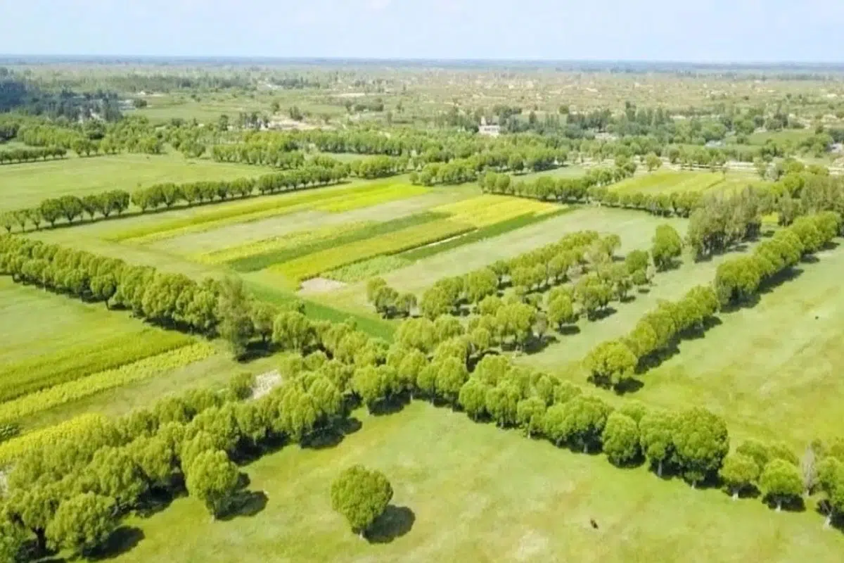 Voici ce que la Chine a fait d'un désert plus grand que la Bretagne et qui ironiquement produit aujourd'hui des pommes Voici ce que la Chine a fait d'un désert plus grand que la Bretagne et qui ironiquement produit aujourd'hui des pommes