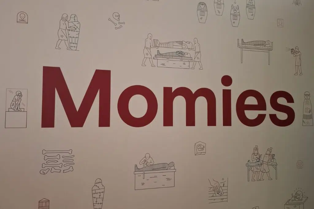 Début de l'exposition MOMIES au Musée de l'Homme.