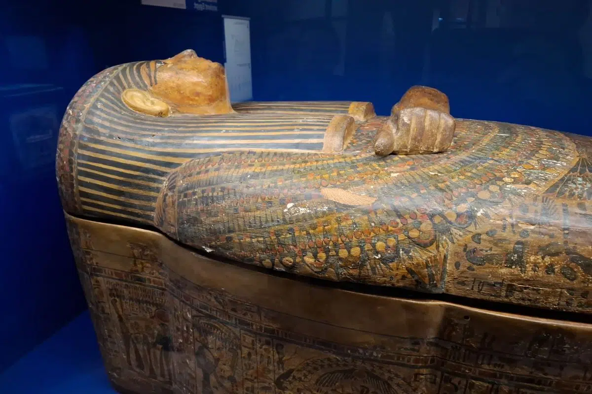 Vous croyez encore qu'on ne trouve des momies qu'en Égypte ? Alors cette exposition au Musée de l'Homme est faite pour vous Vous croyez encore qu'on ne trouve des momies qu'en Égypte ? Alors cette exposition au Musée de l'Homme est faite pour vous