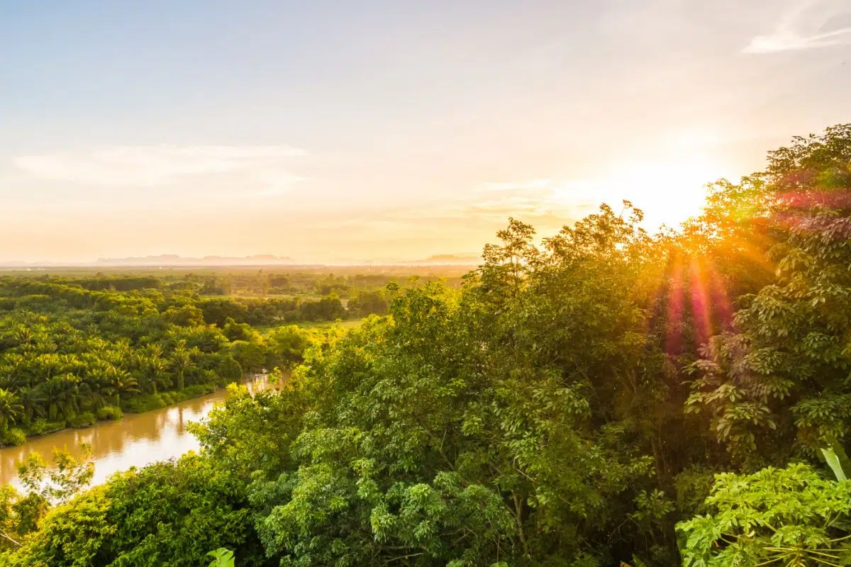 Contre toute attente le Brésil vient d'annoncer -16,7% d'émissions de gaz à effet de serre en un an mais la réalité n’est pas si « rose » Contre toute attente le Brésil vient d'annoncer -16,7% d'émissions de gaz à effet de serre en un an mais la réalité n’est pas si « rose »