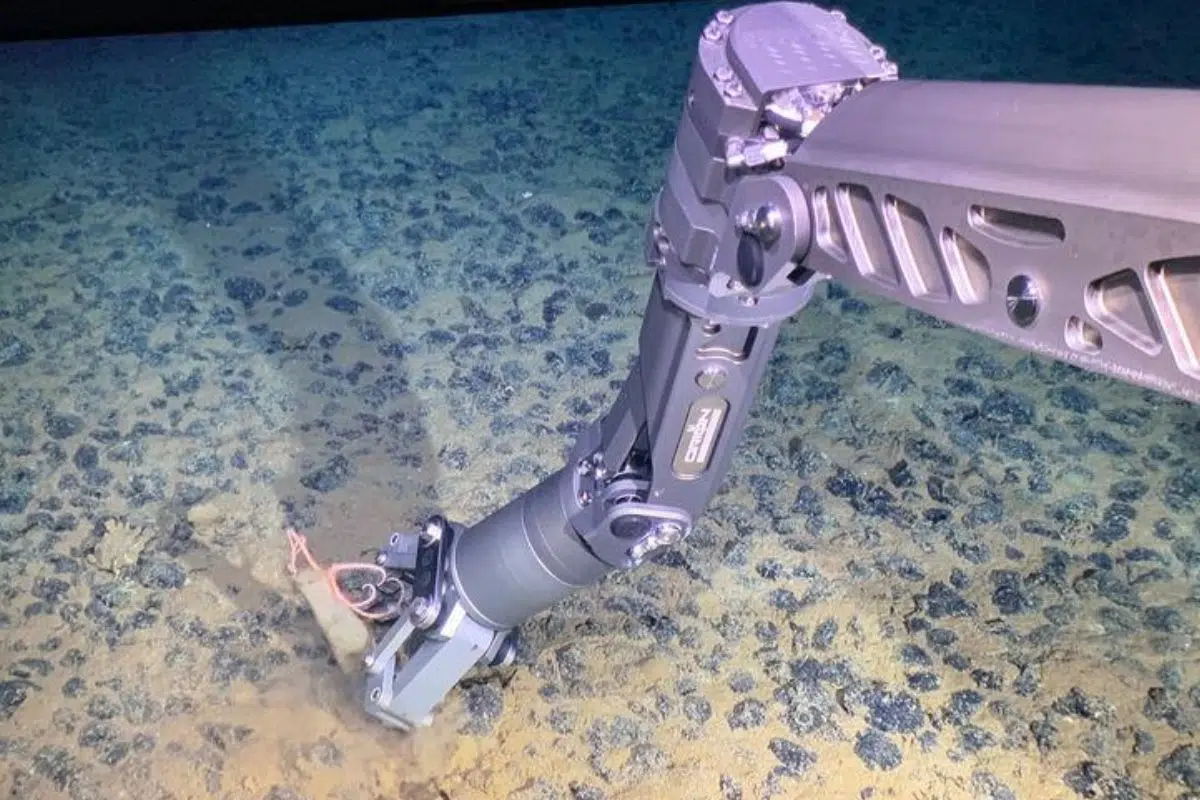 Cette découverte à 4000 mètres de profondeur lors d’un test minier risque de mettre l’humanité face à un nouveau dilemme cornélien Cette découverte à 4000 mètres de profondeur lors d’un test minier risque de mettre l’humanité face à un nouveau dilemme cornélien