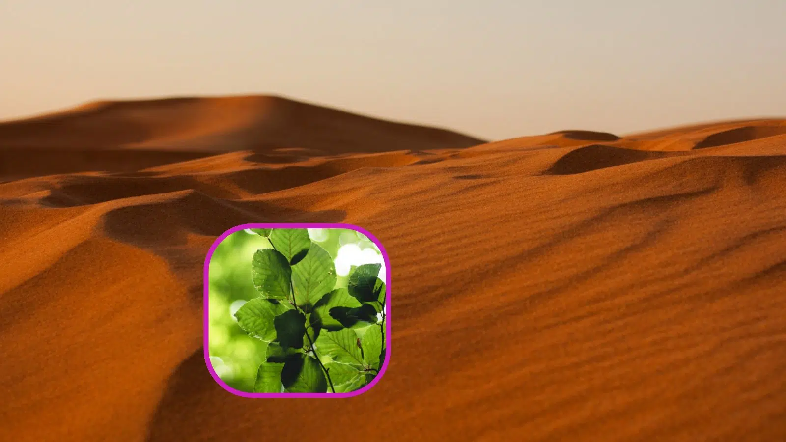 2026 va être une bonne année et ça commence avec cette excellente nouvelle pour la planète : le désert pourra bientôt être utilisé pour faire du béton