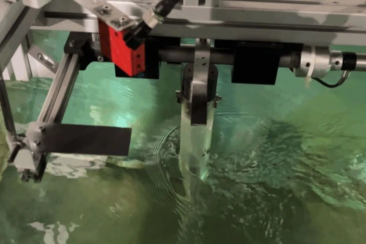 Le « pendule / générateur électrique » équipe de de l’Universitat Rovira i Virgili.