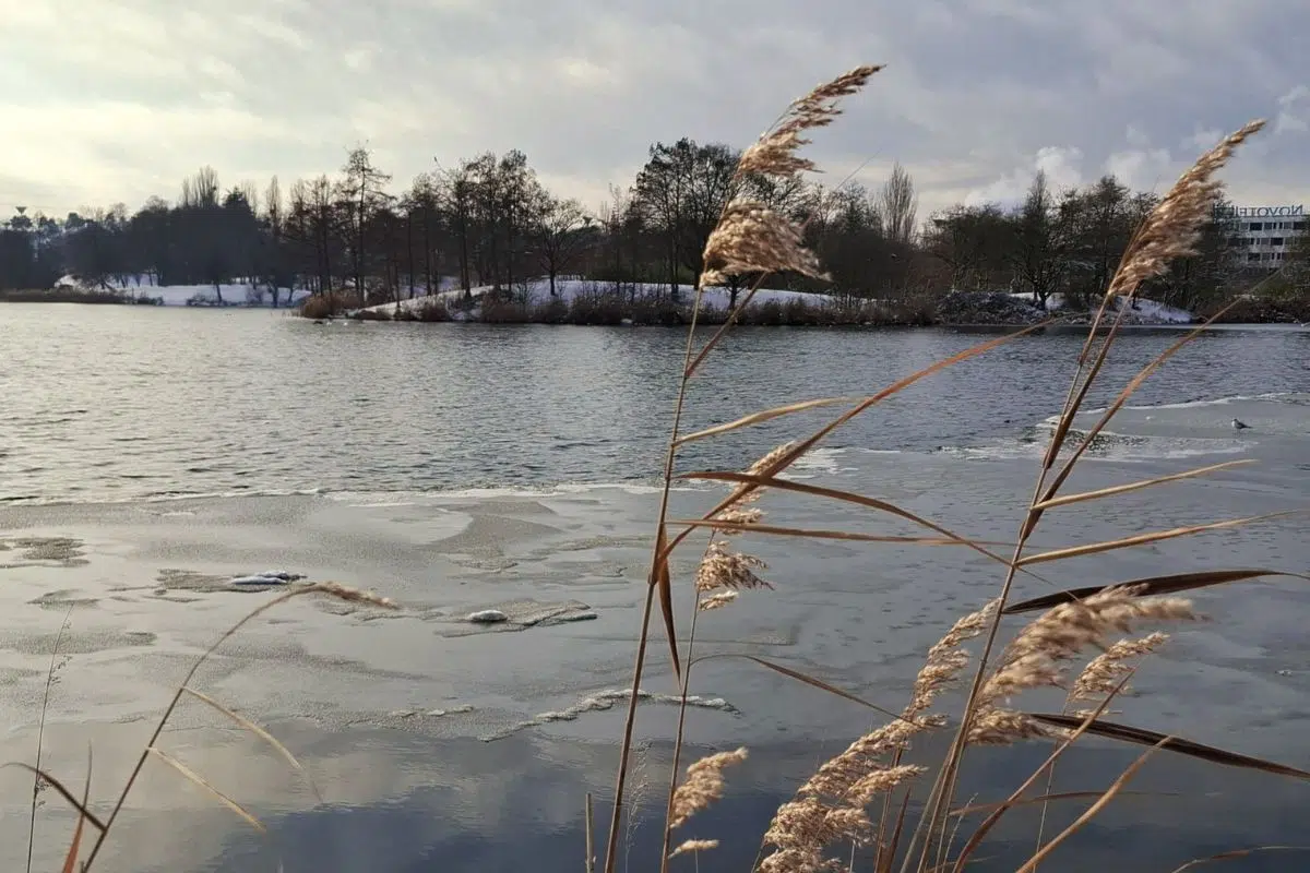 Pourquoi le lac de Créteil était encore gelé sur les bords cet après-midi et pas en son centre ? Pourquoi le lac de Créteil était encore gelé sur les bords cet après-midi et pas en son centre ?