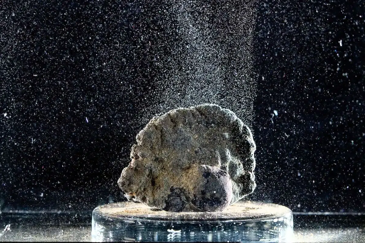 Une équipe va descendre à 4 000 mètres de profondeur pour étudier le mystérieux dark oxygen qui remet en cause des siècles de croyances scientifiques