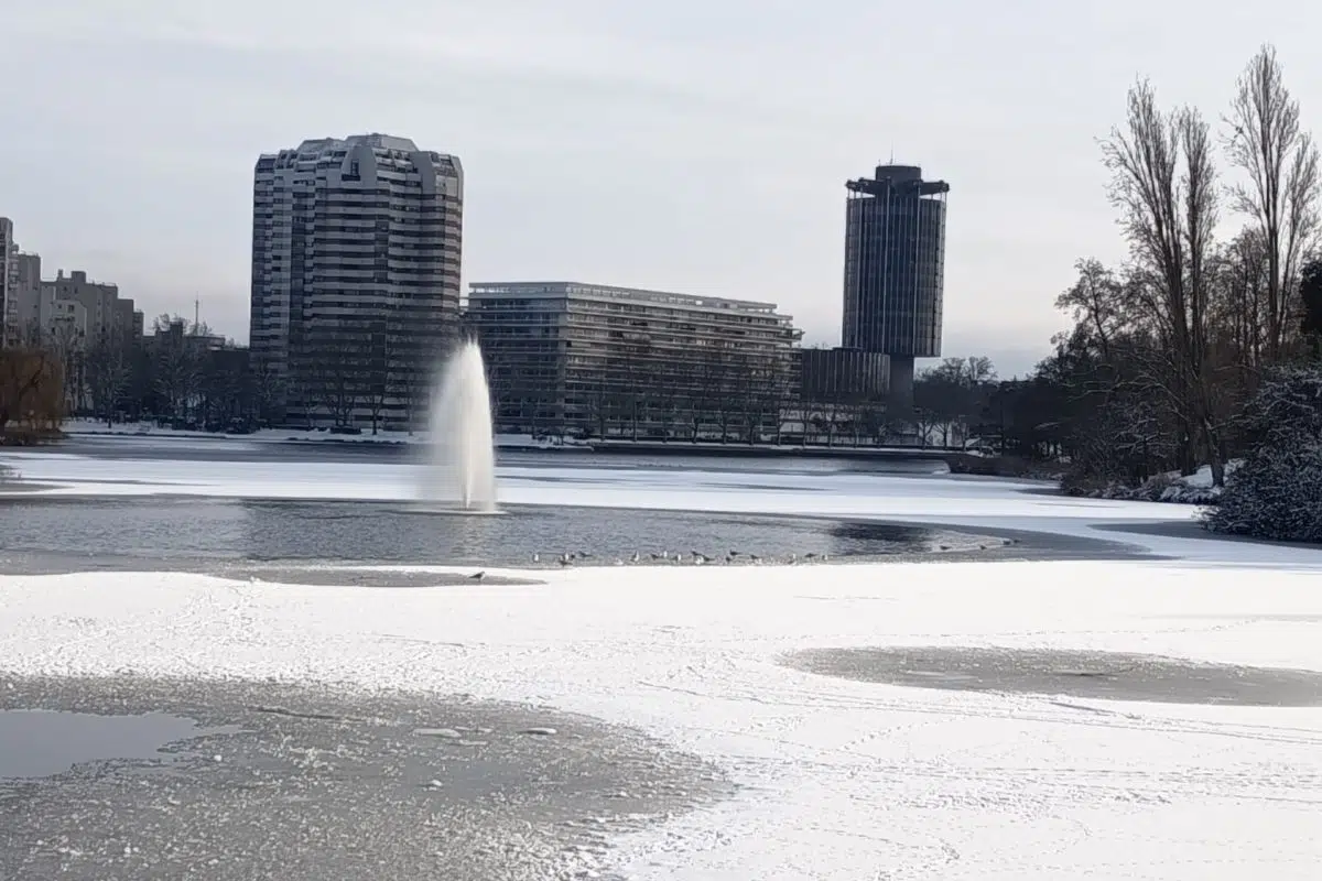 Lac de Créteil sous la glace n°2 - 07 janvier 2025 (crédit : Media24.fr)