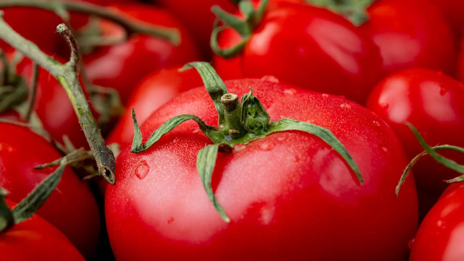 Les Italiens vont l'avoir « mauvaise » mais c'est bien la Chine qui vient de trouver une nouvelle façon de sublimer la tomate avec un arôme inattendu