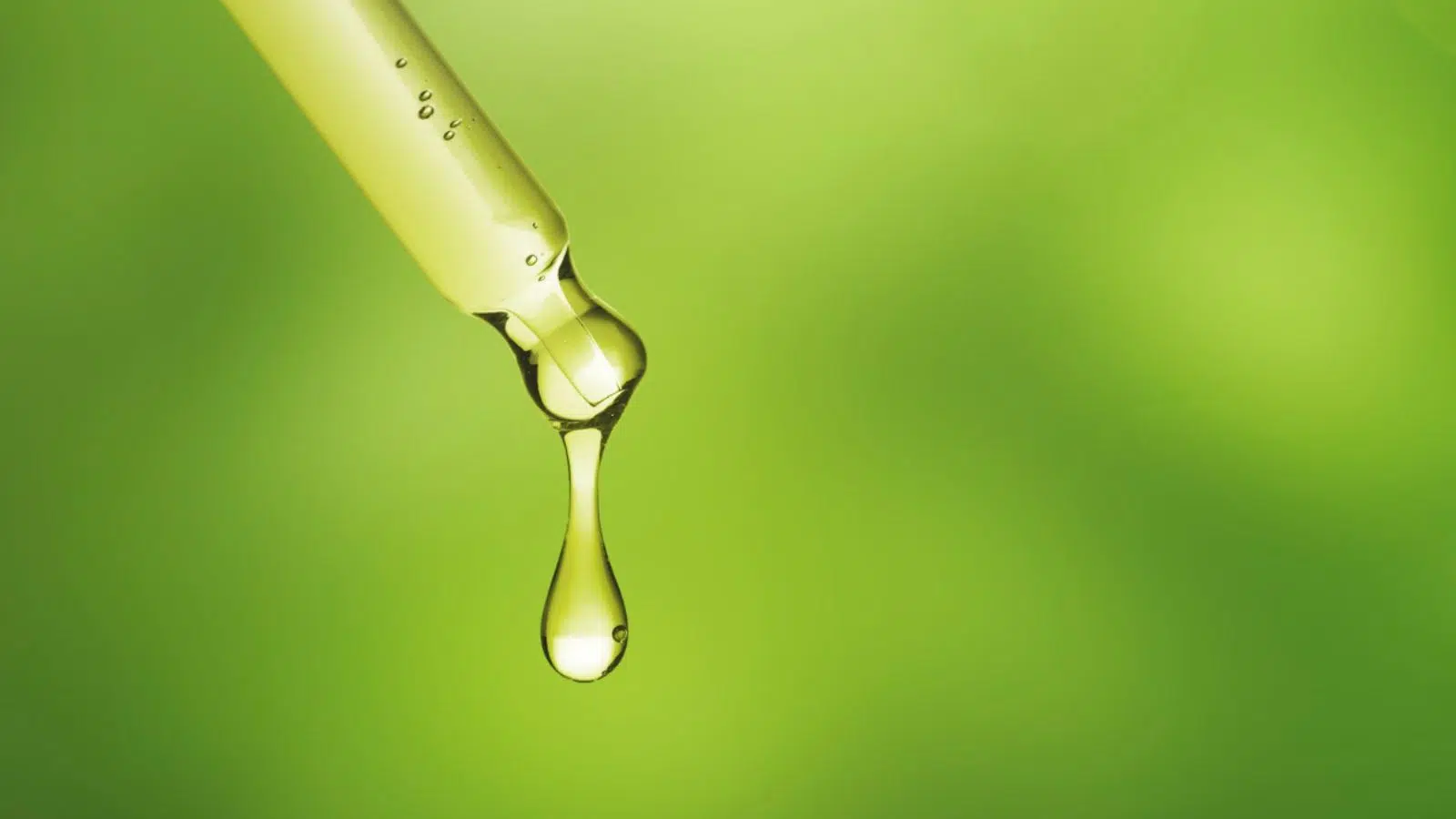 Cette filière continue son insolente croissance en France en 2025 avec +15% et de belles promesses pour 2026 Cette filière continue son insolente croissance en France en 2025 avec +15% et de belles promesses pour 2026