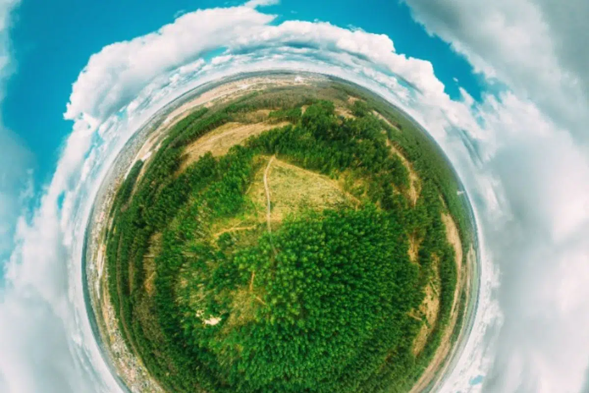 Vue à angle élevé du verre (Freepik) Vue à angle élevé du verre (Freepik)