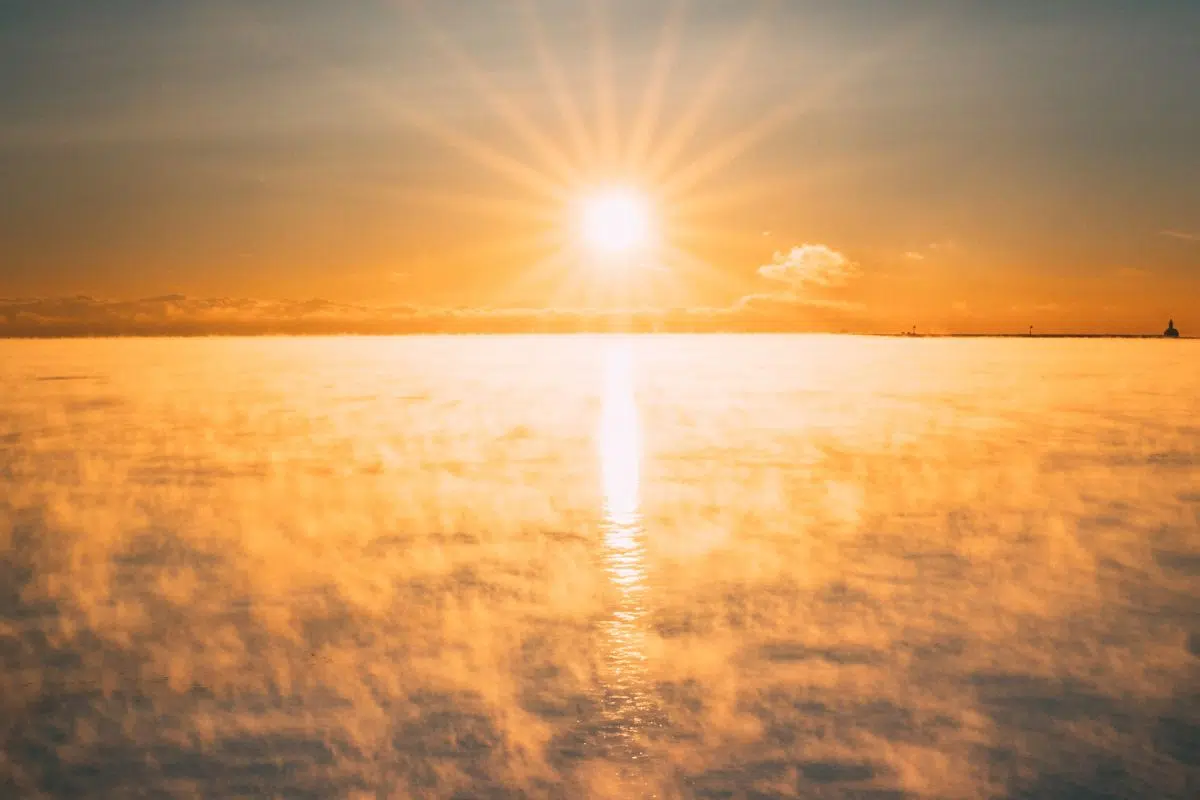 L’Arctique empoisonne chaque année son propre écosystème à cause de la fonte estivale qui libère des métaux lourds absorbés par les algues L’Arctique empoisonne chaque année son propre écosystème à cause de la fonte estivale qui libère des métaux lourds absorbés par les algues