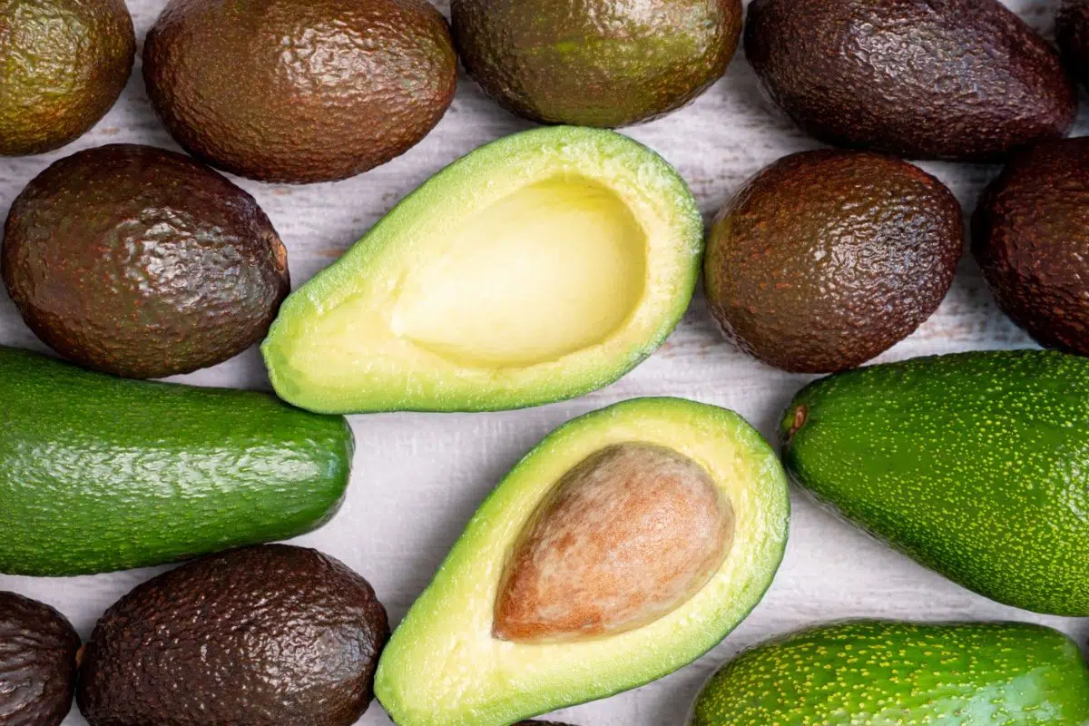 Colombie : l'export d'avocat hass gagne du terrain face aux plantations de café