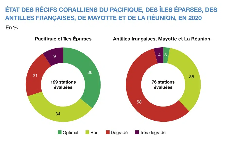 Champ : Pacifique (Nouvelle-Calédonie, Wallis-et-Futuna, Polynésie française, La Passion-Clipperton), îles Éparses dans l'océan Indien (TAAF), Antilles françaises (Guadeloupe, Martinique, Saint-Barthélémy, Saint-Martin), Mayotte et La Réunion.Source : Ifrecor, État de santé des récifs coralliens, herbiers marins et mangroves des Outre-mer français, 2020. Traitements : SDES, 2022