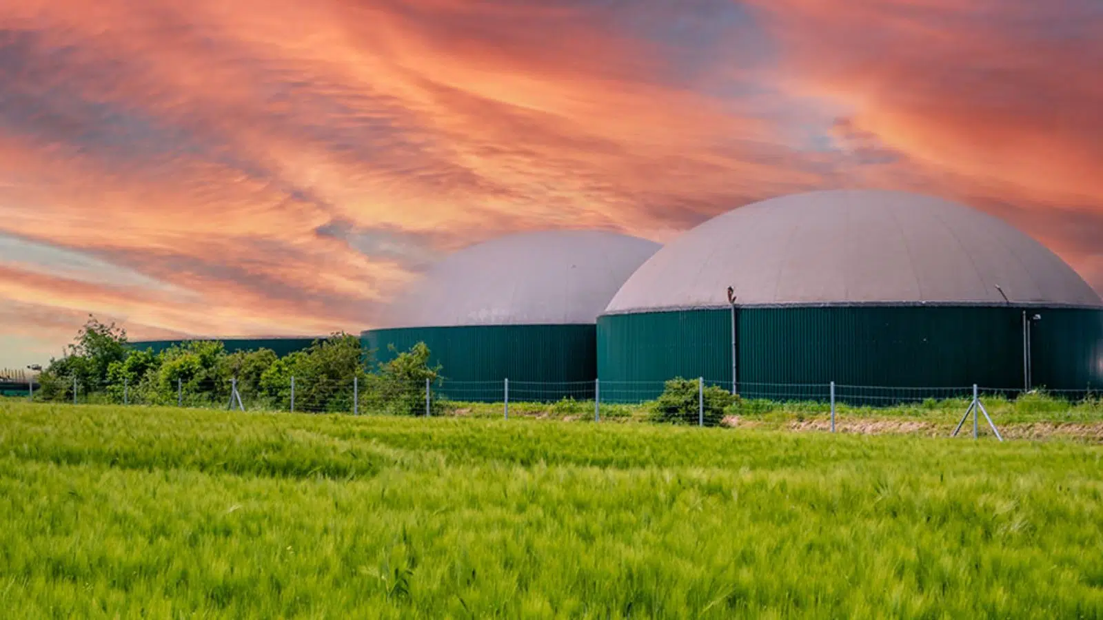Paradoxe « à la française » : l'Hexagone est le premier producteur de ce carburant en Europe et ne fait rouler que 0,8% de son parc automobile au bioGNV