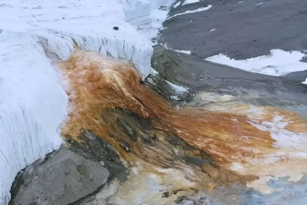 Selon une étude publiée en 2017 dans le Journal of Glaciology et relayée par National Geographic, la couleur rouge des Blood Falls provient d’une eau hypersaline riche en fer issue d’un réseau de rivières et d’un lac sous-glaciaires cachés sous le glacier Taylor.