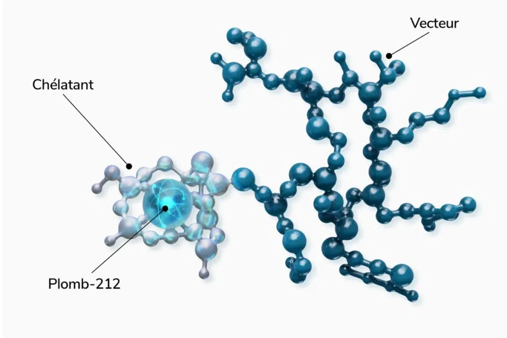 L’alphathérapie ciblée au plomb 212 ouvre une nouvelle voie dans la lutte contre certains cancers difficiles à traiter. Développée notamment par Orano Med, cette technologie utilise des particules alpha extrêmement énergétiques capables de détruire les cellules tumorales avec une précision redoutable, tout en limitant fortement les dégâts sur les tissus sains voisins.