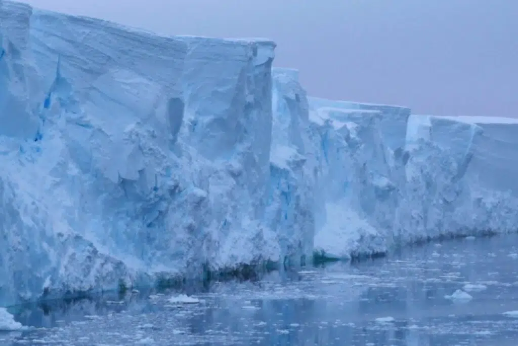 Falaise de glace du glacier Thwaites. Crédit photo : Rob Larter (BAS)