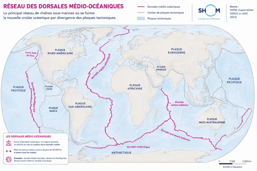 Le réseau des dorsales médio-océaniques