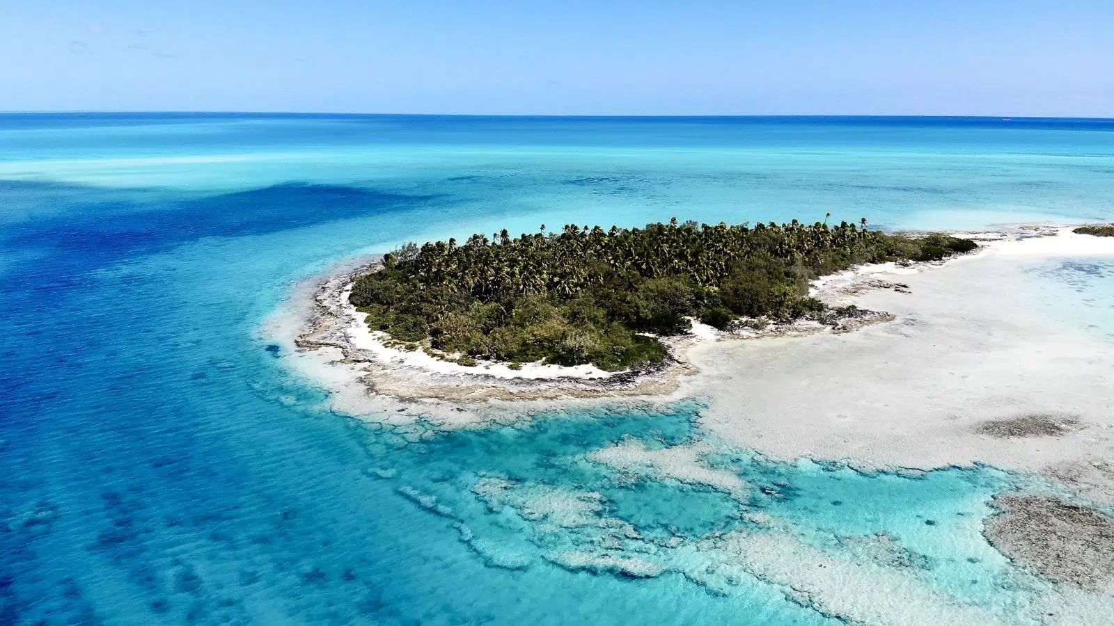 Depuis 2017, la Nouvelle-Calédonie est avec la Nouvelle-Zélande la partie immergée d'un continent gigantesque : Zealandia