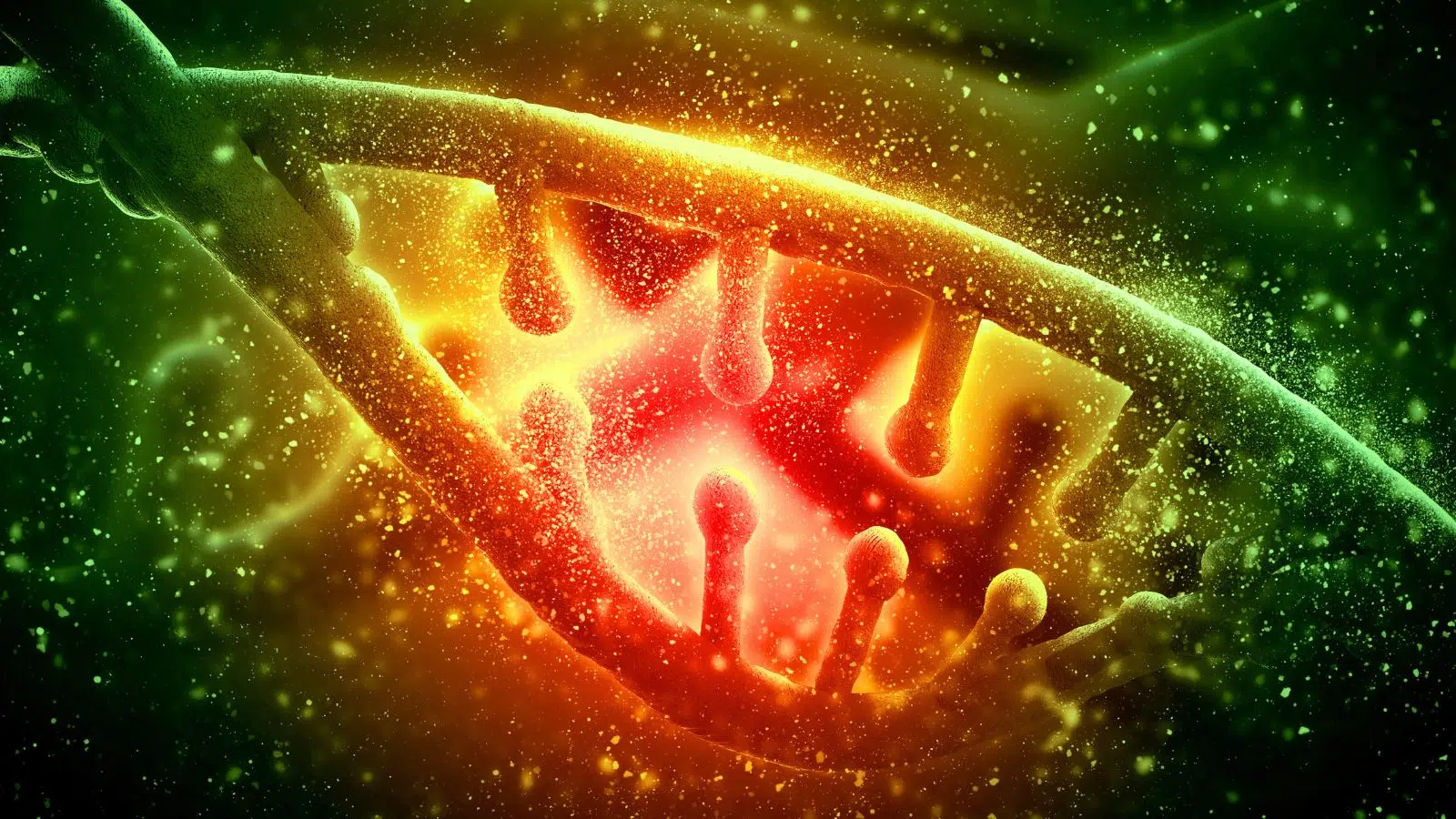 L'ordinateur à ADN a un immense mérite par rapport à nos versions au silicium et un énorme défaut : il ne consomme pas d'électricité mais il est encore très lent L'ordinateur à ADN a un immense mérite par rapport à nos versions au silicium et un énorme défaut : il ne consomme pas d'électricité mais il est encore très lent