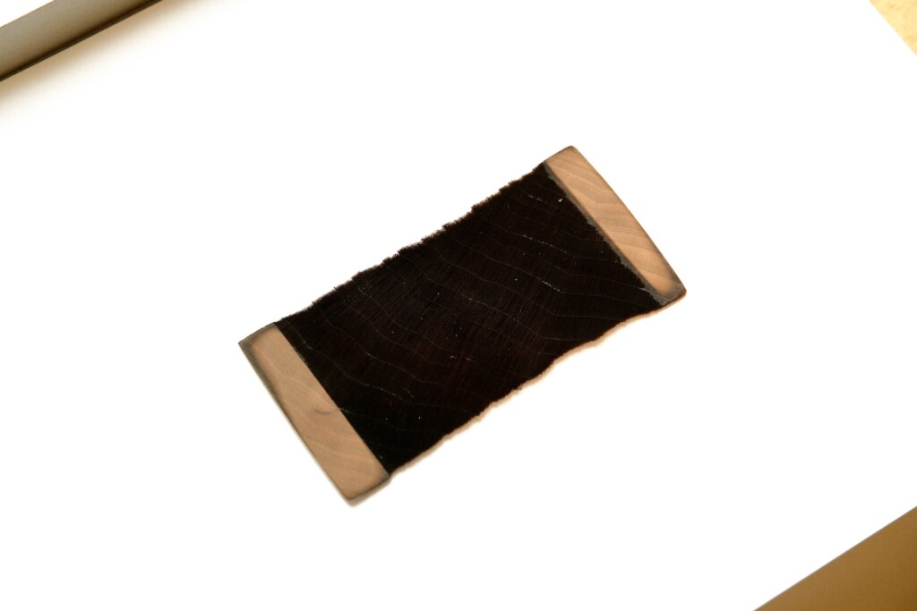 Le bois super-noir développé par l'UBC empêche intrinsèquement la lumière de s'échapper plutôt que de dépendre de pigments noirs.