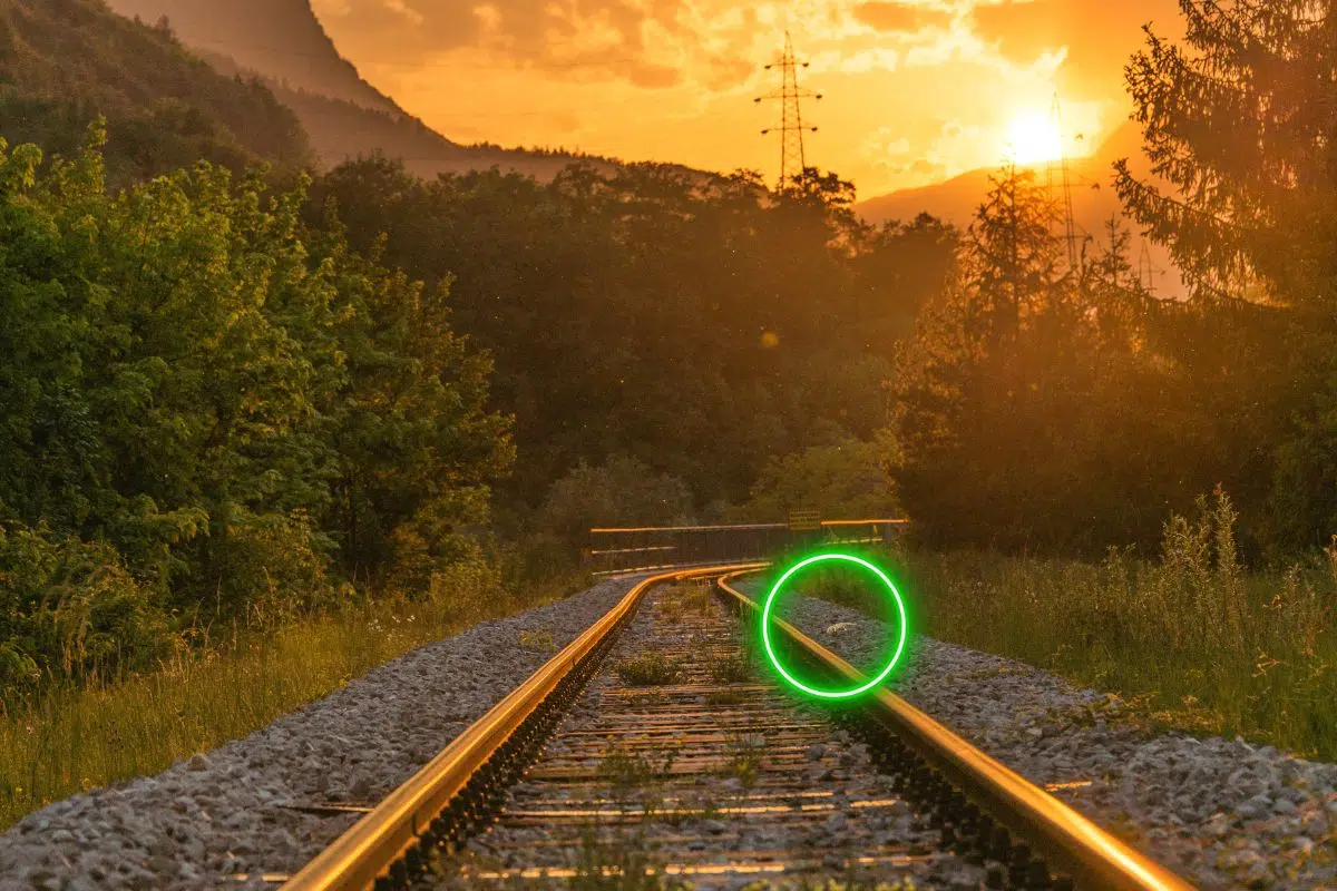 En suivant les voies ferrées cet animal est parvenu jusqu'en Touraine où sa présence inquiète les associations et spécialistes du climat En suivant les voies ferrées cet animal est parvenu jusqu'en Touraine où sa présence inquiète les associations et spécialistes du climat