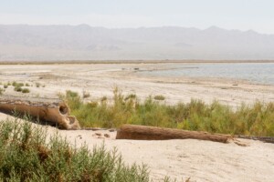 Un gisement de 182,55 milliards d'euros de lithium potentiellement découvert